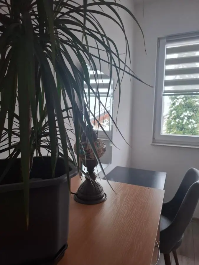 Apple Home