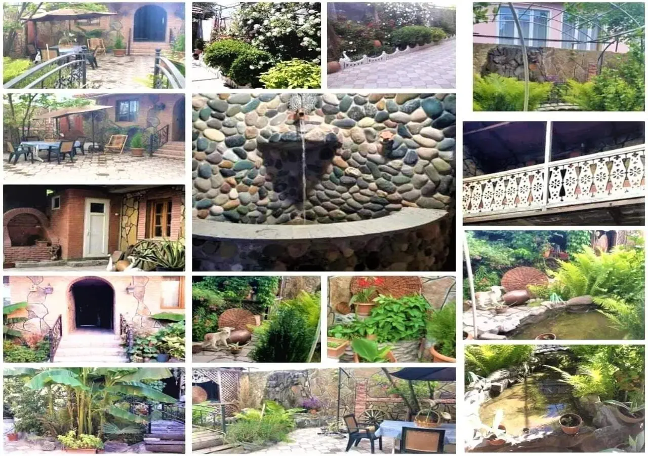 Tamar Guest House