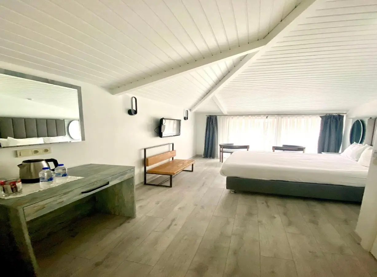 Faros Hotel Taksim-Special Category