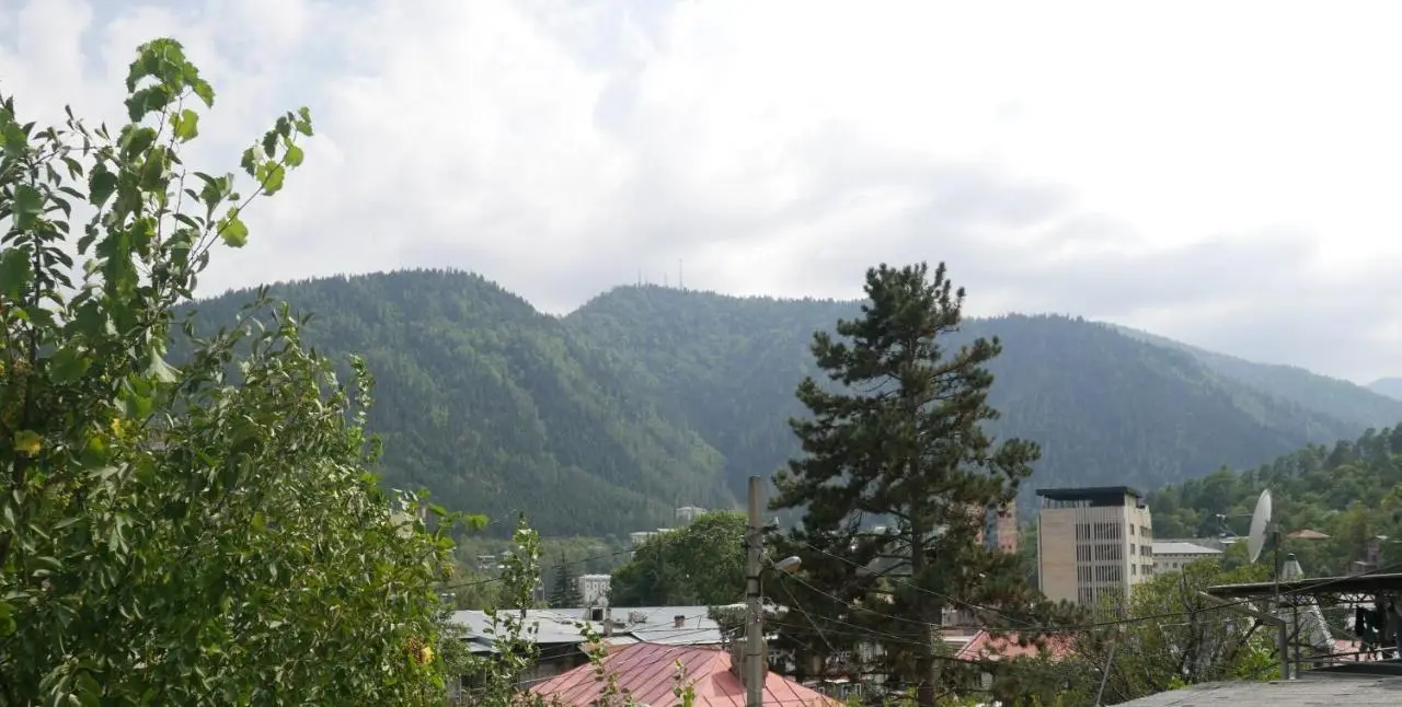 Luxury Apartment at Pirosmani 22 in central Borjomi