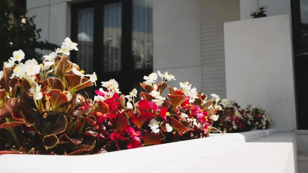 Arbnor Boutique Hotel