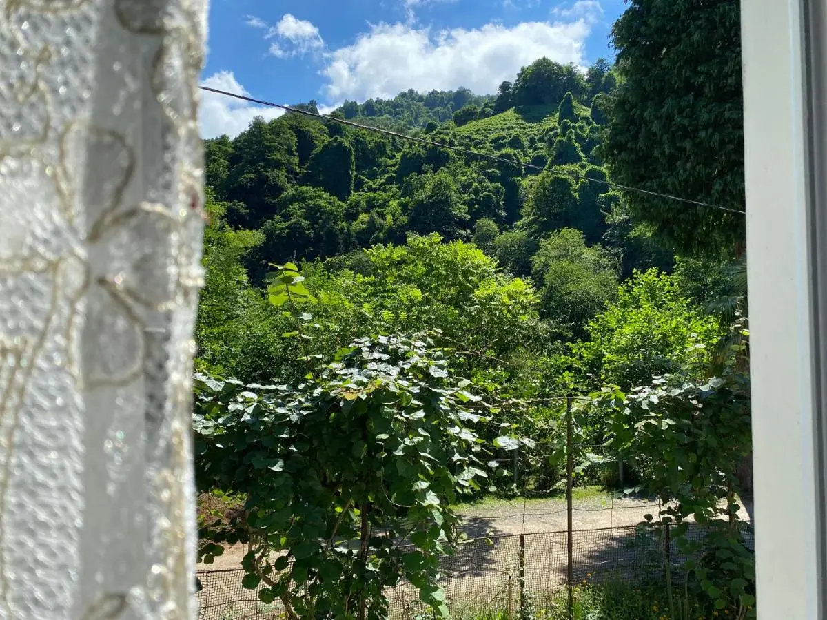 Venera's Guest House