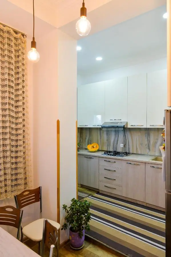 Apartment on Rustaveli Avenue