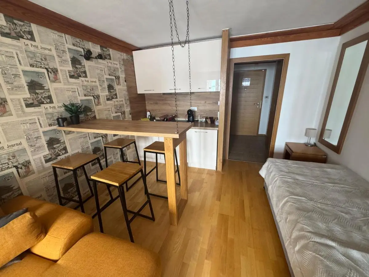 Apartment 122 - Aparthotel Vučko Jahorina - private host