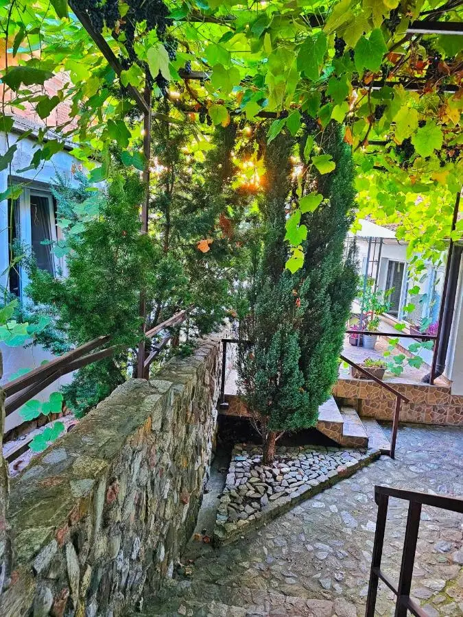 Studio Apartments Siesta