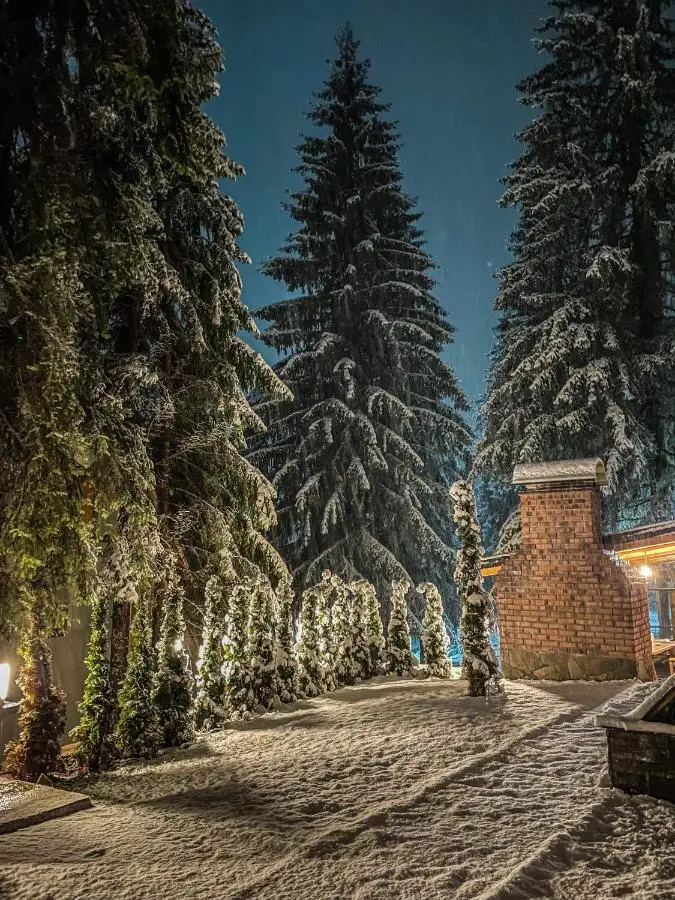 Vila Bašić Vlašić JELEN Spa Apartman Sauna & Jacuzzi