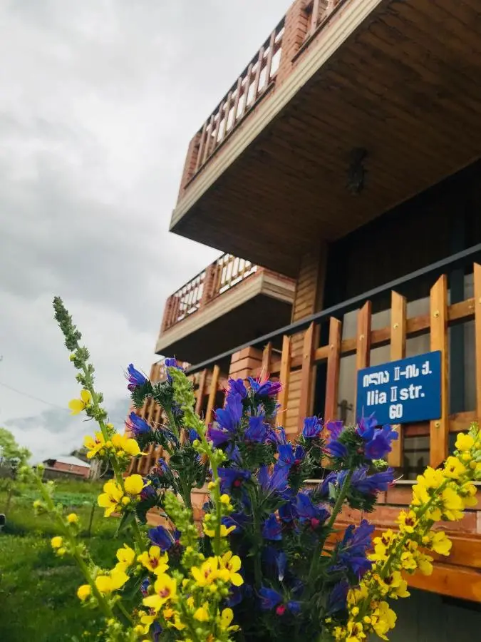 Vache Hotel