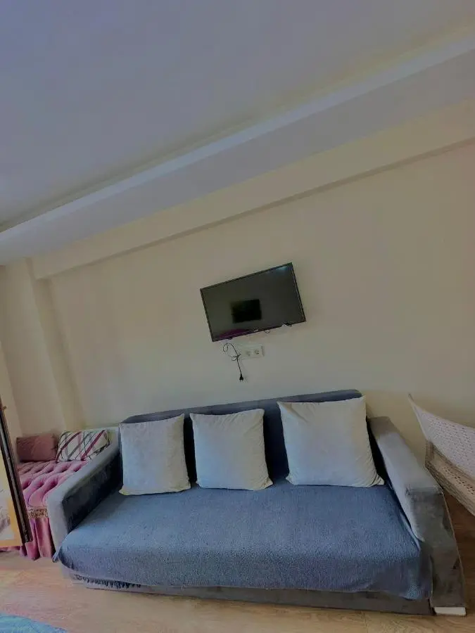 Green Suite