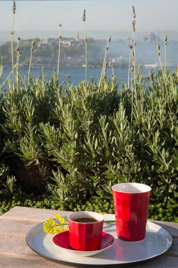 Witt Istanbul Suites