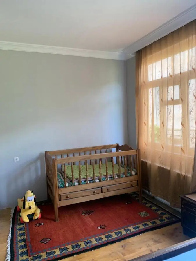 Panorama ananuri guest house