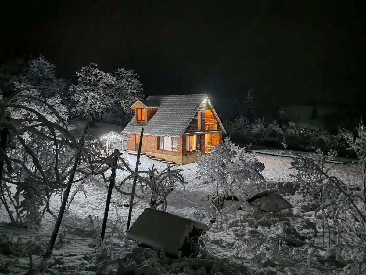 Shemoqmedi Chalet
