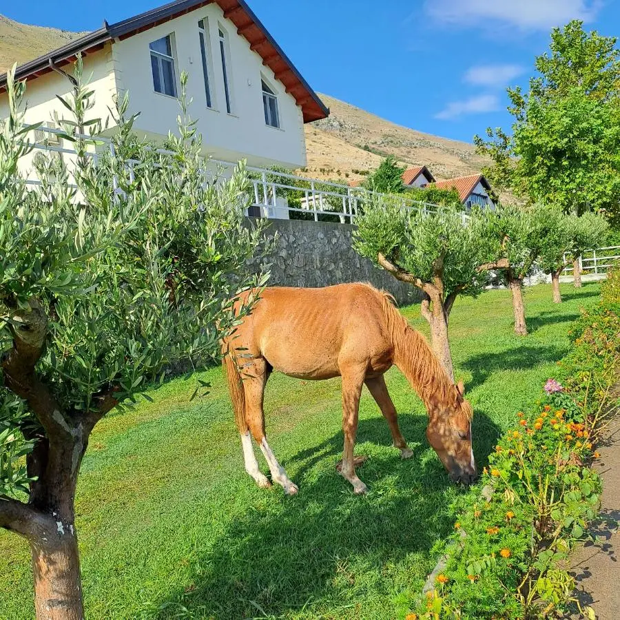 Xhuli Guesthouse