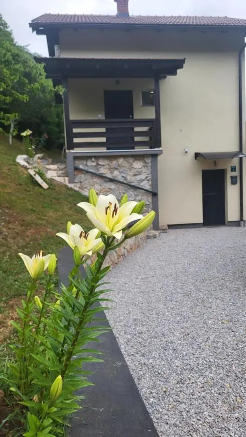 Villa Igmanski san