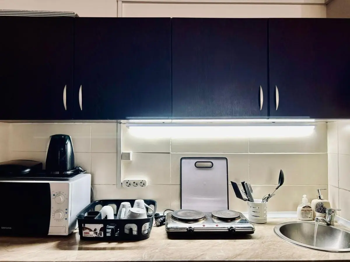 Bakuriani Mgazavrebi block 2 apartment 207