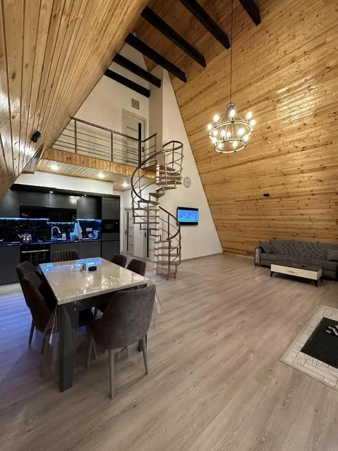 SILAND A Frame House