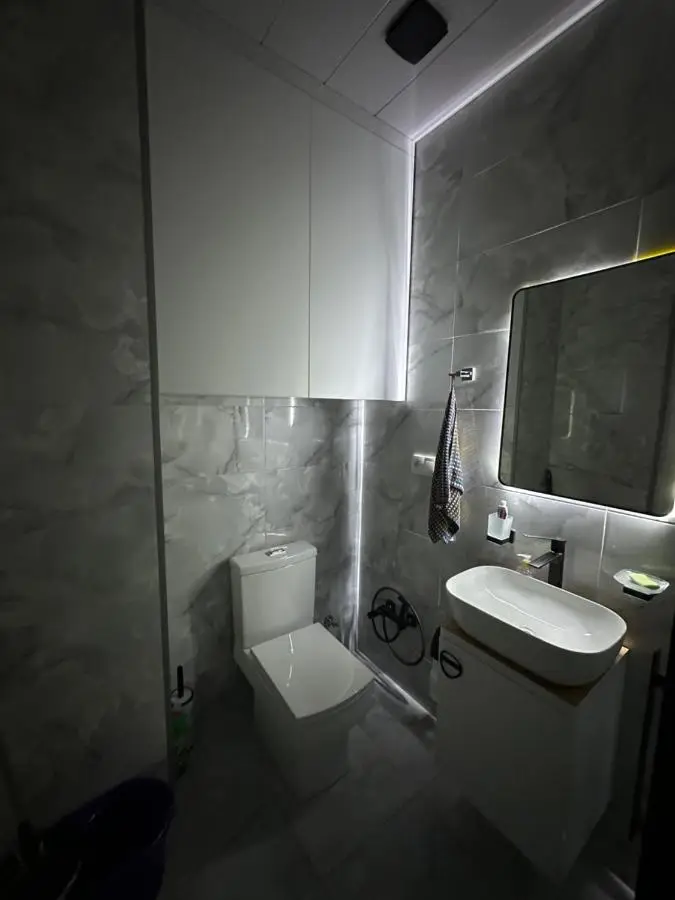 Modern apartment in Borjomi