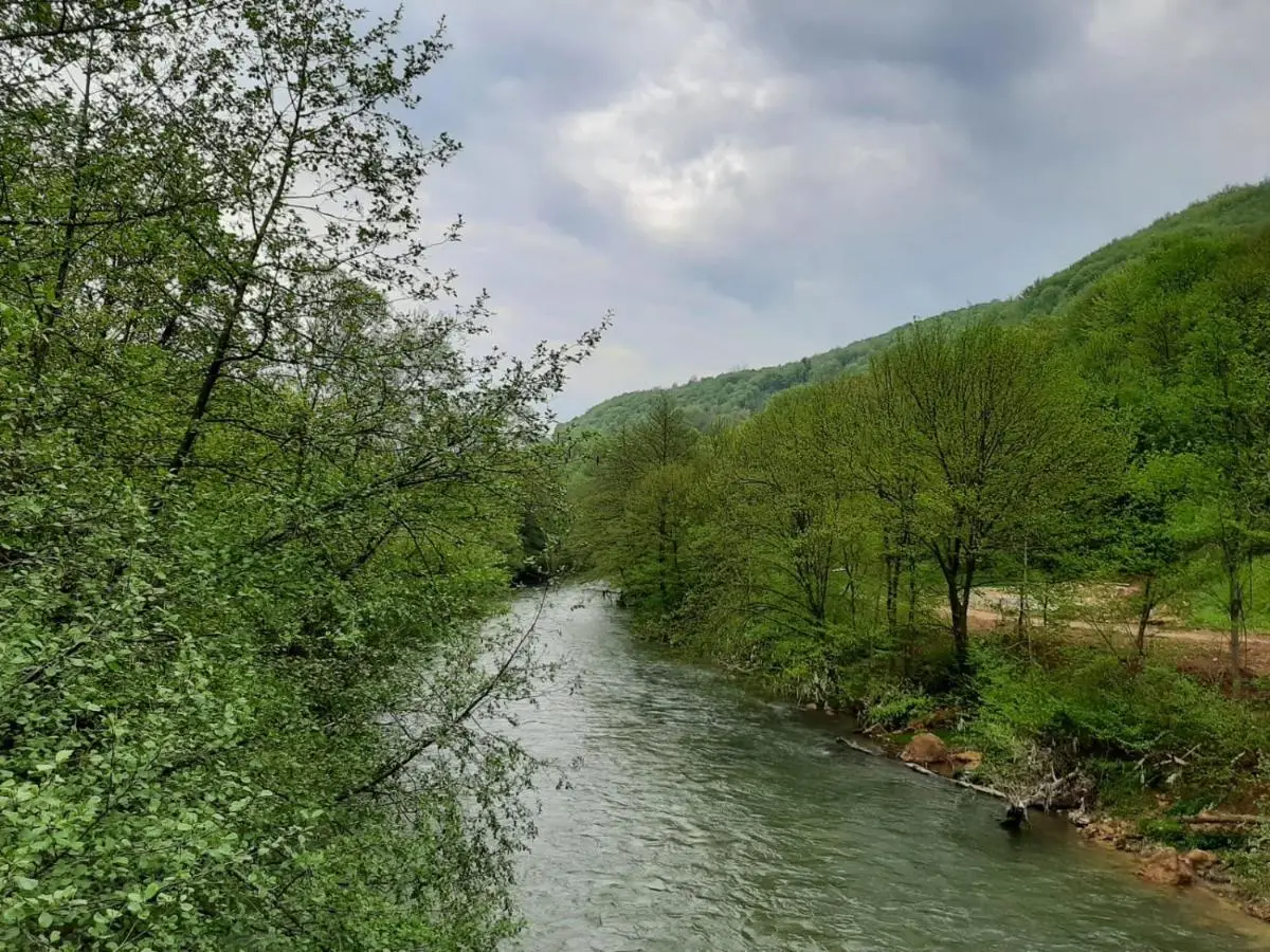 Apartman Dujmović