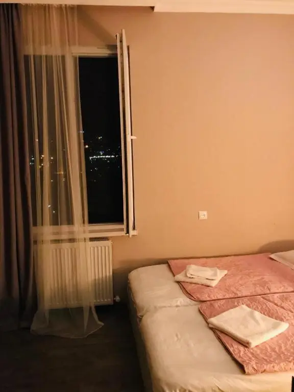 Guest House Check in Borjomi