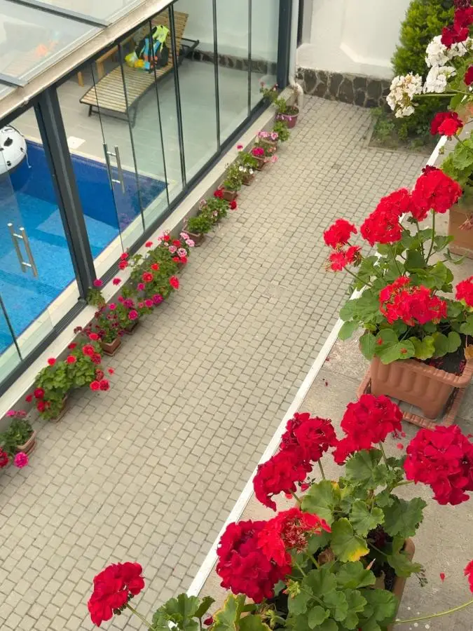 Twin Villas Gabala