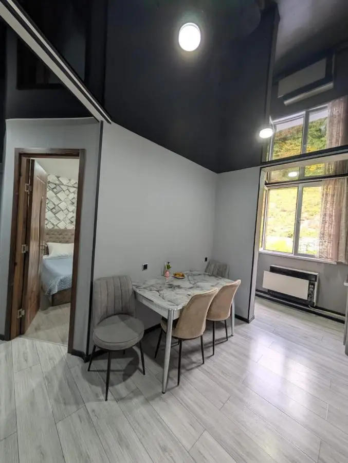 Gari's apartment next to Borjomi Central Park