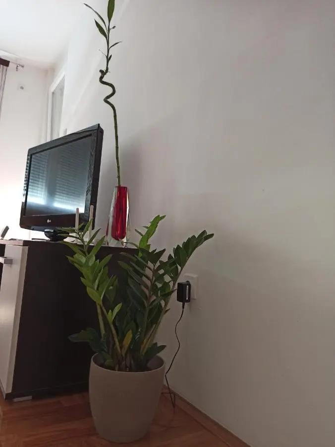 BK Apartment, Istocno Sarajevo, Lukavica