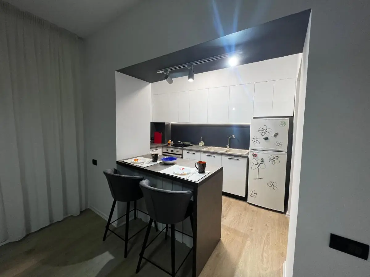 AmIon Apartment in Center of Tirana