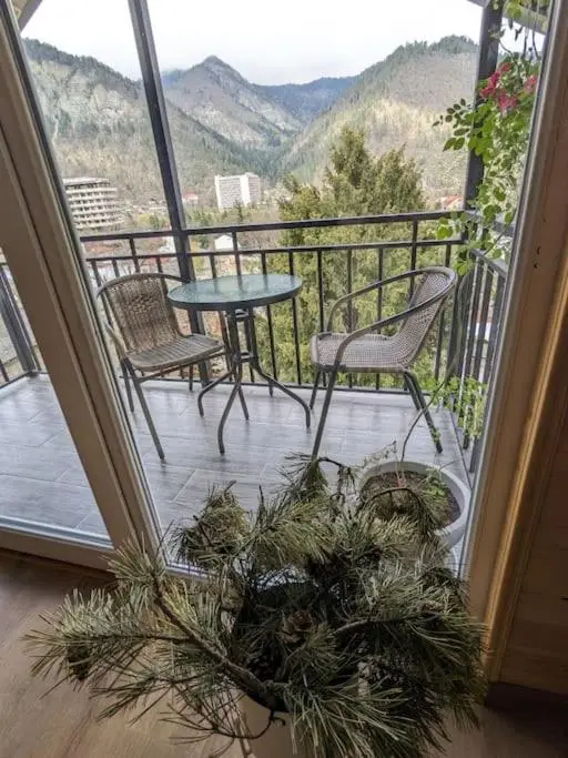 Unforgettable attic with balcony in Borjomi