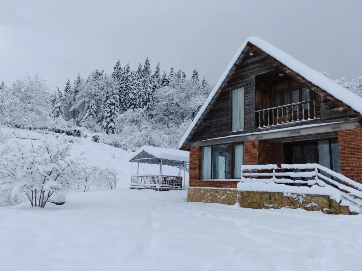 Shemoqmedi Chalet
