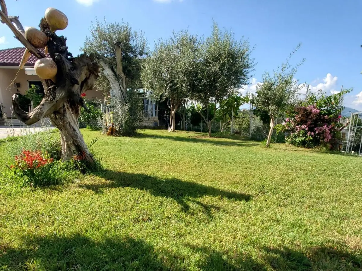 Villa Nikol