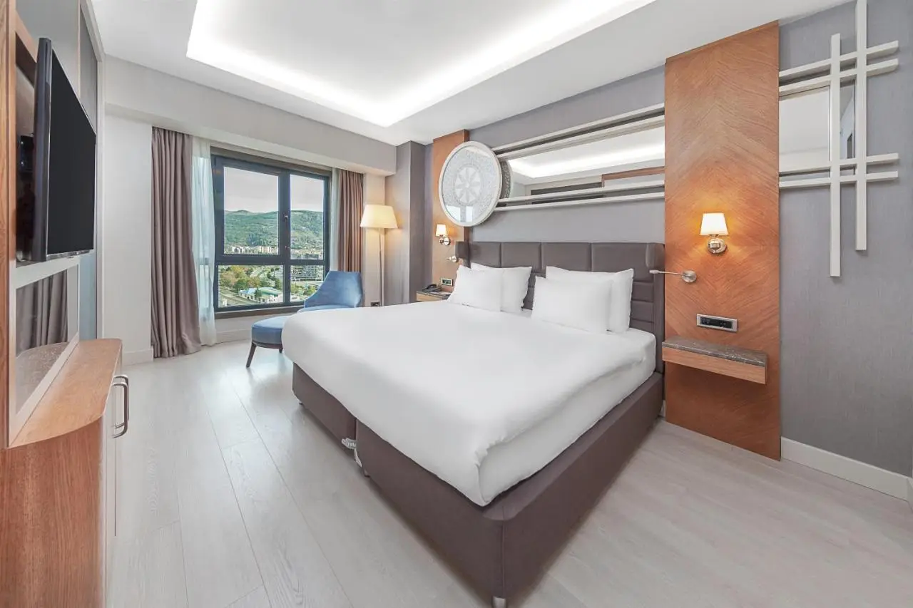 Dedeman Tokat