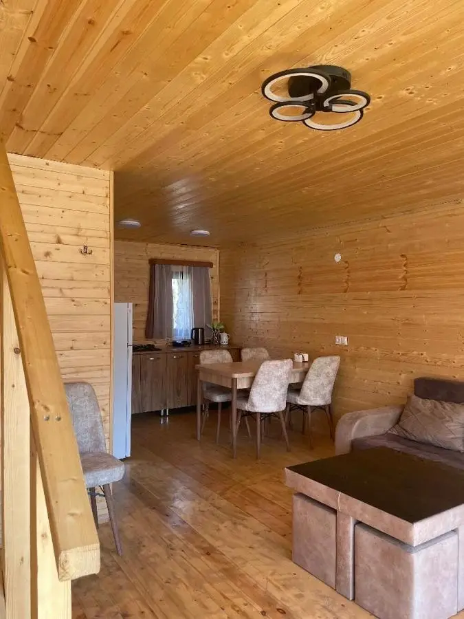 Twin cottages kazbegi 2