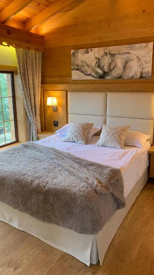Chalet Bakuriani