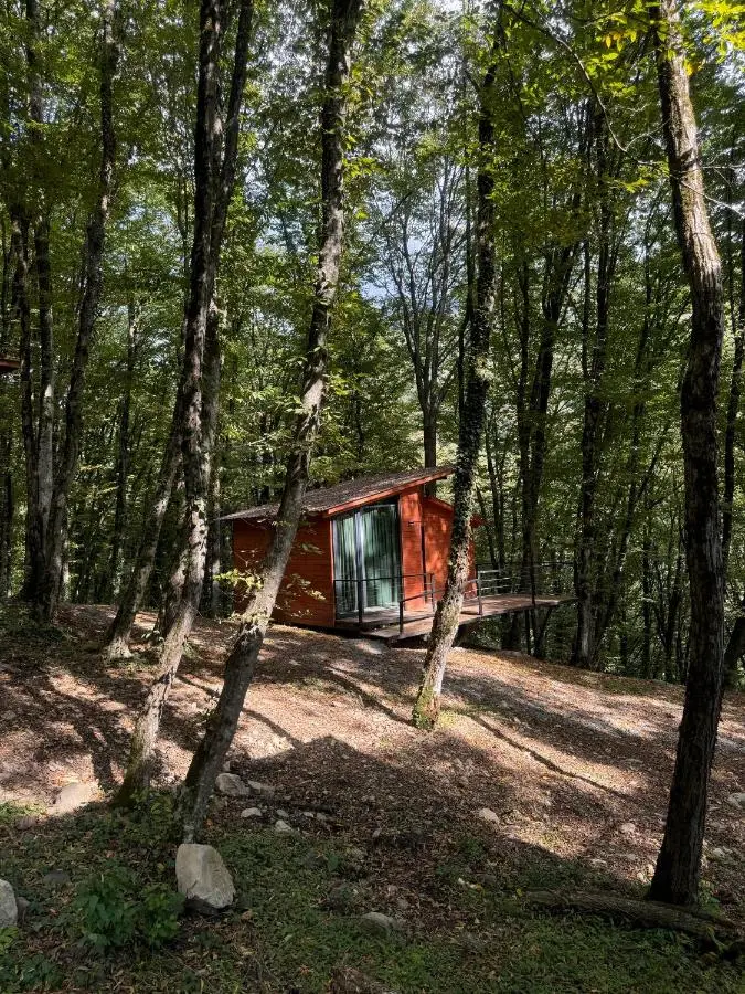 Eco Village In The Forest