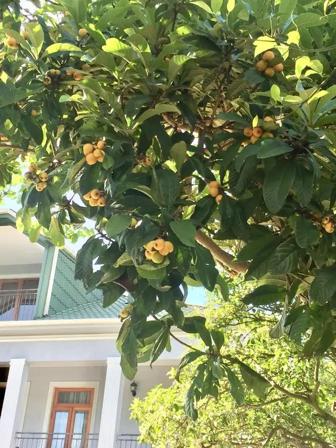 15 Kviparosi Guest House