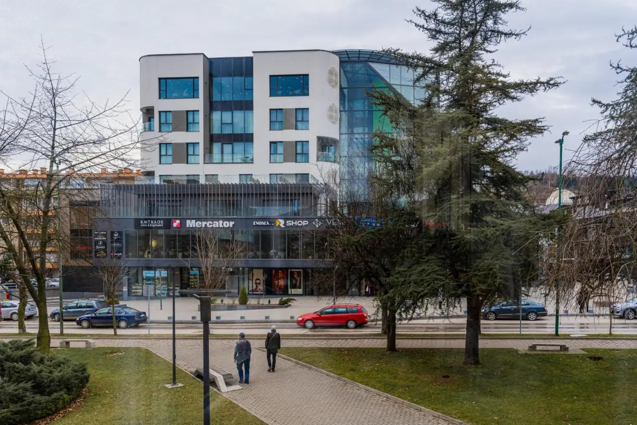 Mona Visoko