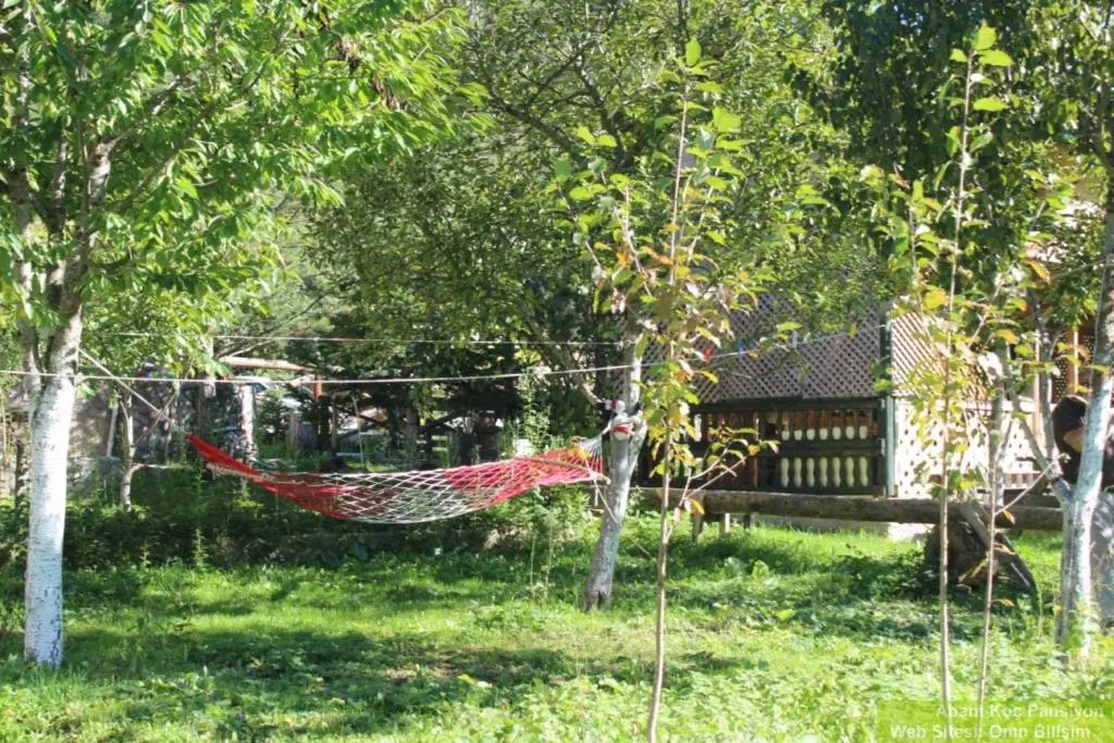 Abant Yeşil Vadi