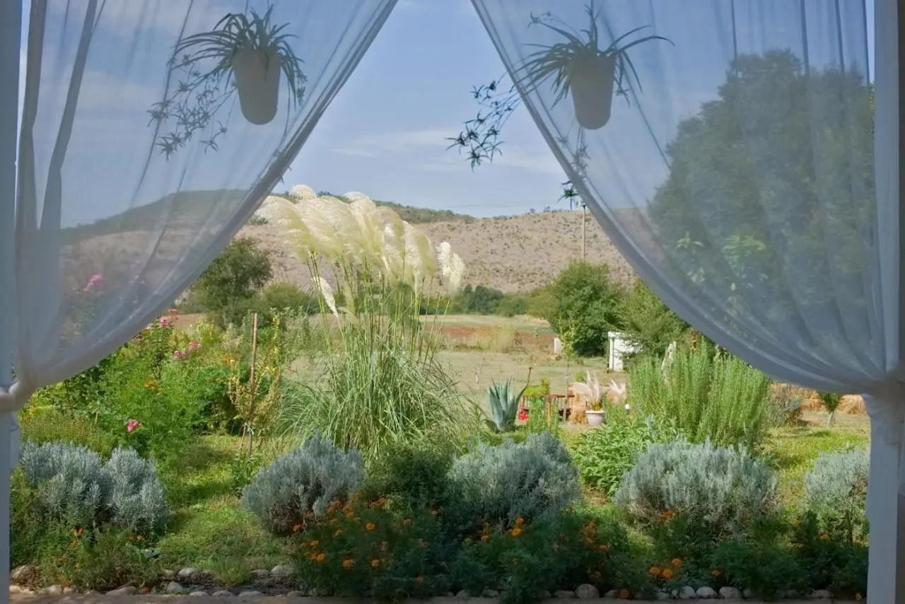 OZ - Obecana Zemlja Permaculture Homestead