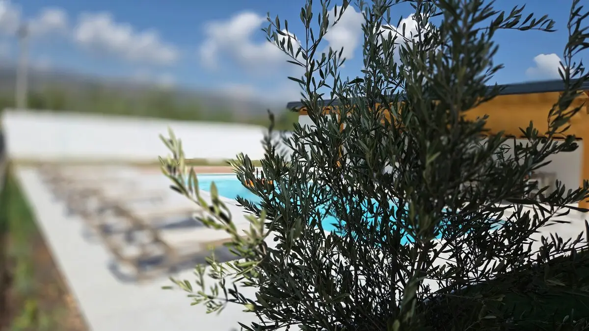 Villa DaaM