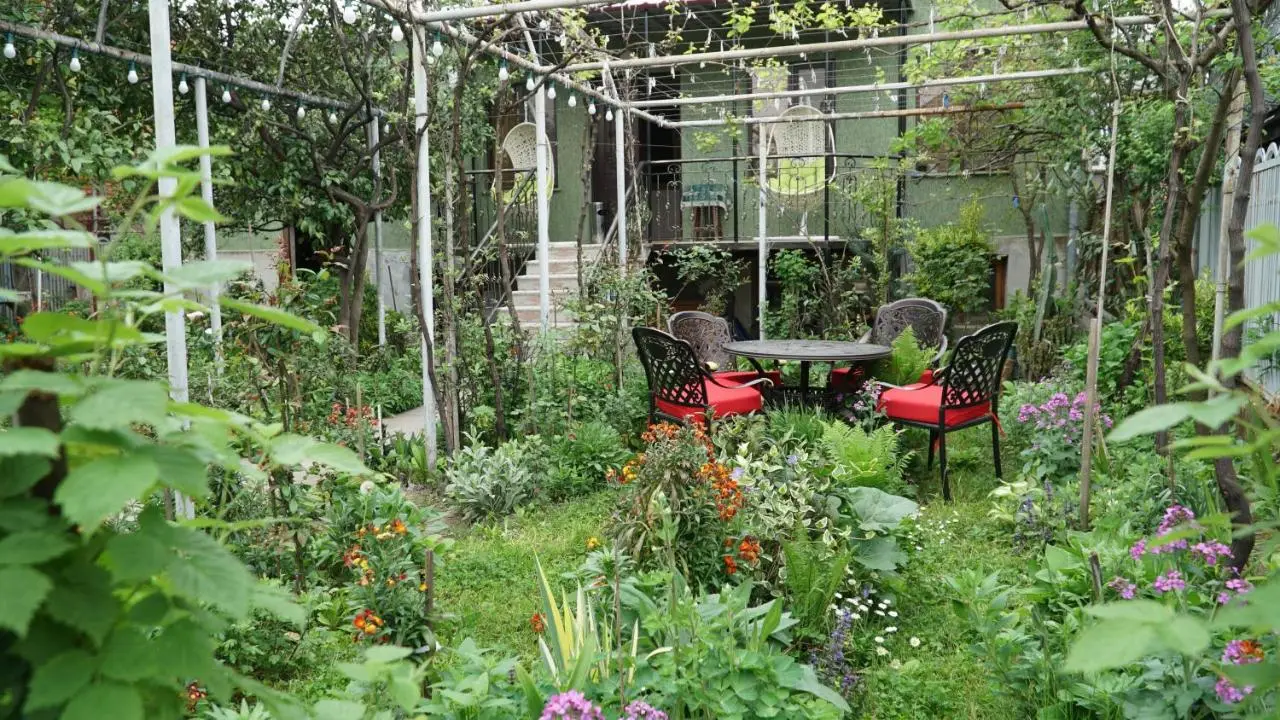 Eleven Guest House