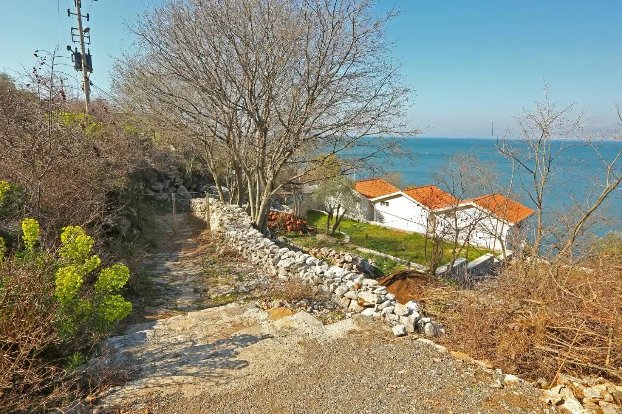 Vani i Bardhë