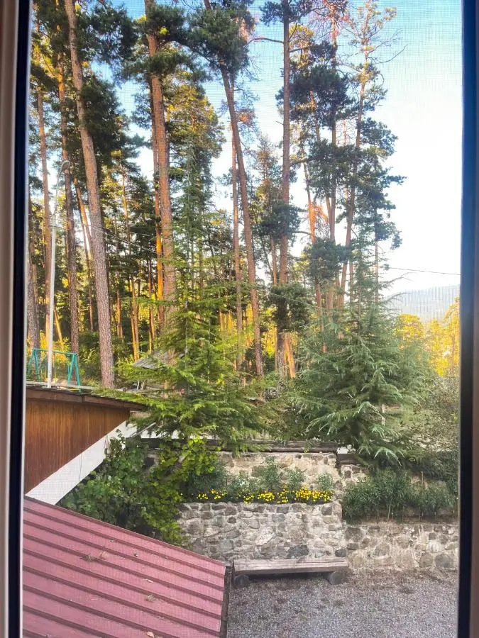 Guest House on Meskheti