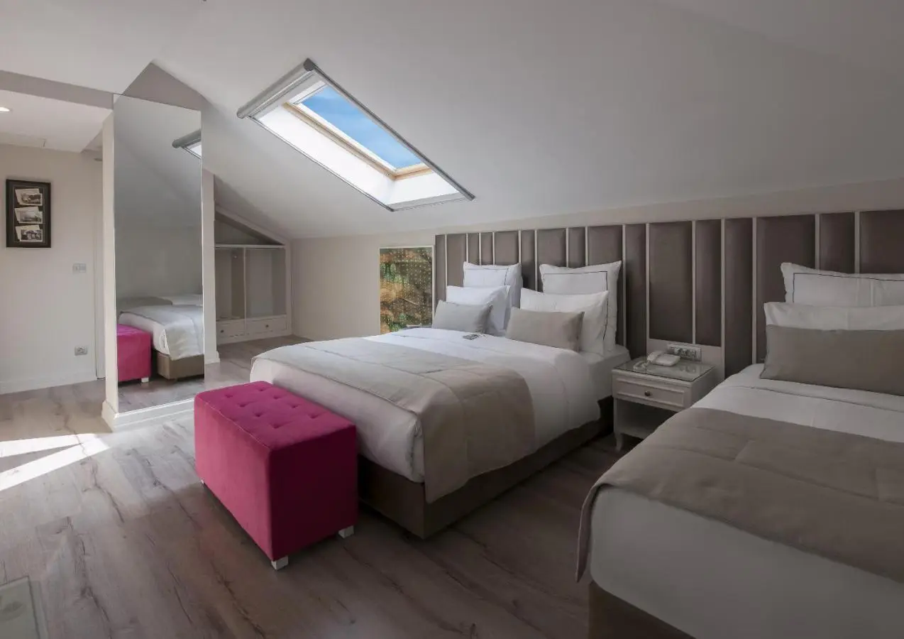 Le Petit Palace Hotel - Special Category
