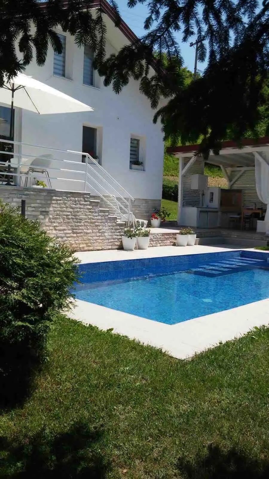 House with a swimming pool