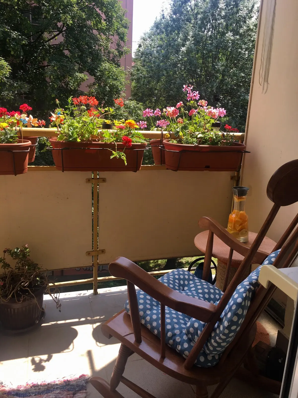 Private room in authentic and charming city nest