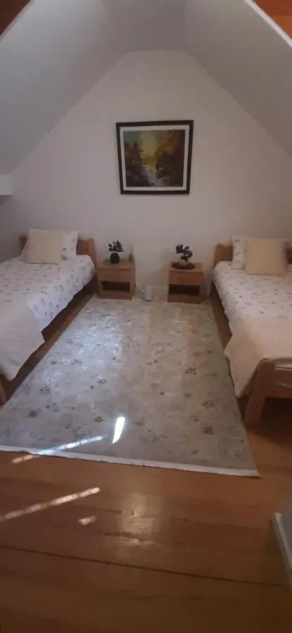 Plavo oko