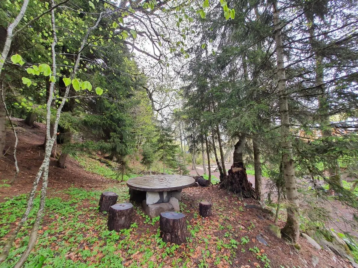 Perfect studio near Didveli ski area