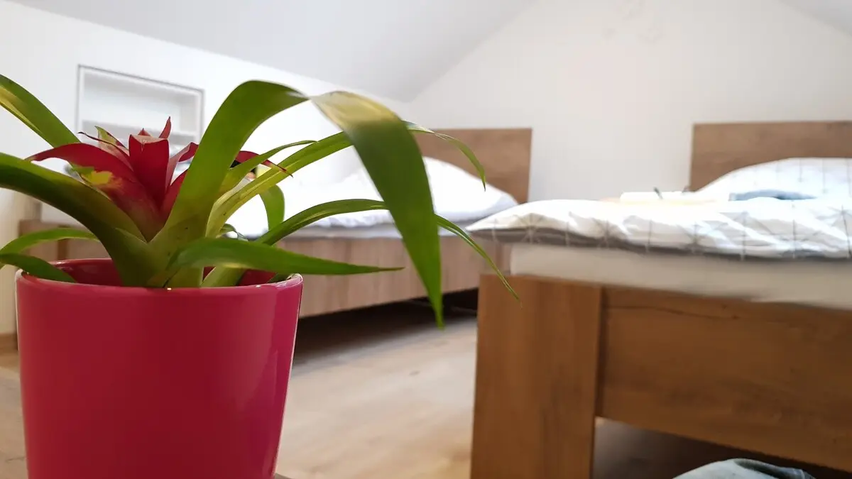 Charming rooftop apartment, EXCELLENT LOCATION