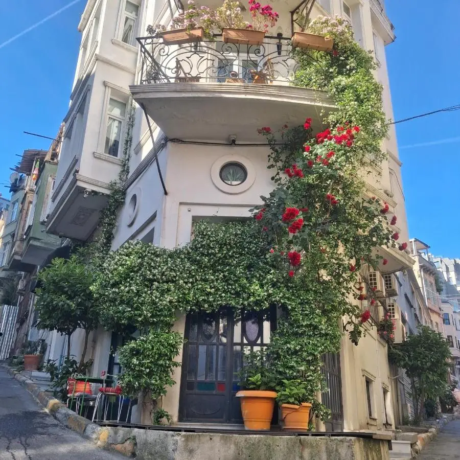 The White Swan Suites Beyoglu