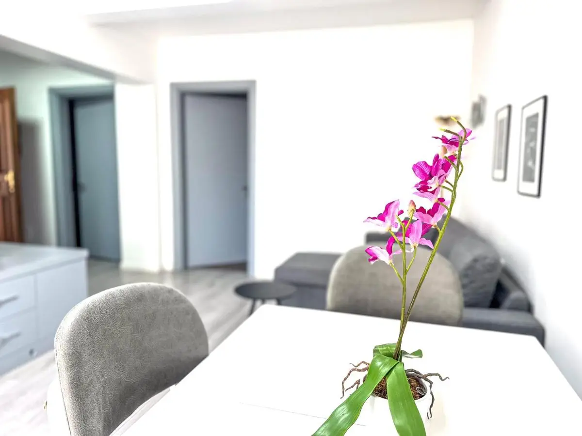 City Center 2BR Apartment