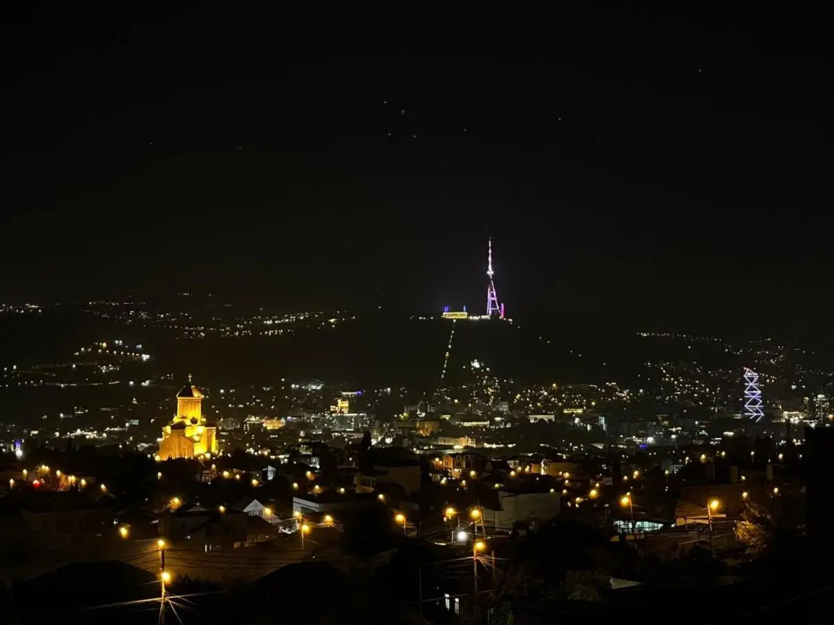 Tbilisi Panoramic Apartament